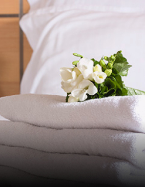 Group 1000003544 (1)